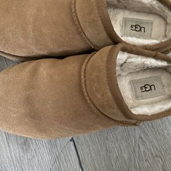 Uggs Women