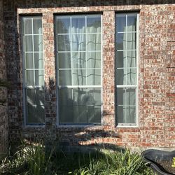 WINDOWS