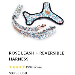 Dog Harness And Leash