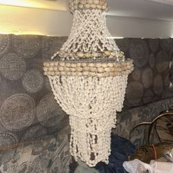 Seashell 