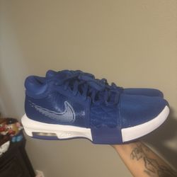 Nike Kobe 5 Protro blue basketball trainers. 