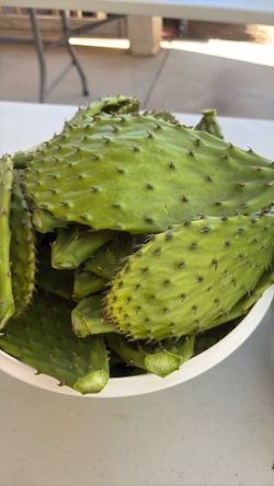 Nopales Resien Cortados $3