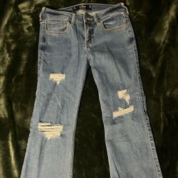 Hollister Low Rise Boot Jeans