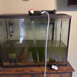 Fish Tank And Supplies