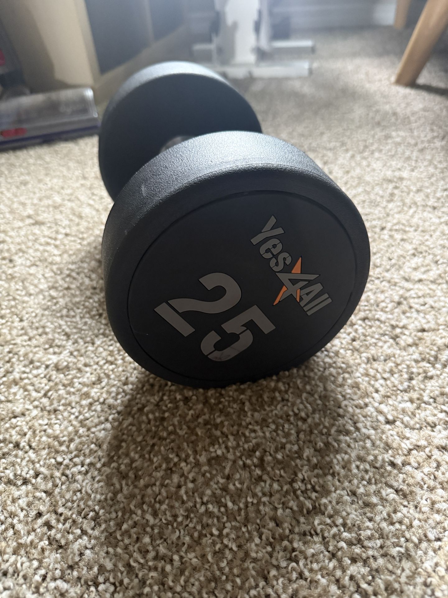 25lb Dumbbell