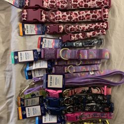 Pet Collars 