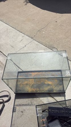 Fish Tanks