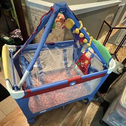 Pack And Go Baby Einstein Play Pen
