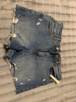 Brand New Women's Shorts 