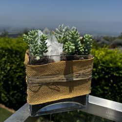 *Custom Gift* Succulent Crystal Arrangements 