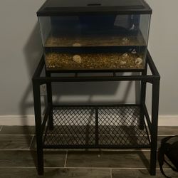 10 Inch Gallon With Stand 