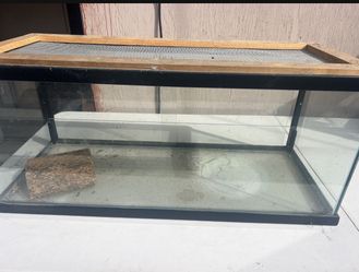 Reptile tank