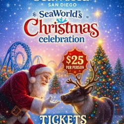 🎄✨🎅 MAGICAL HOLIDAY EVENT • LIMITED  🎟️ • BOOK NOW! ✨🎄🎅