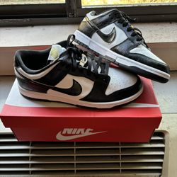 Nike Dunk World Champ Never Worn