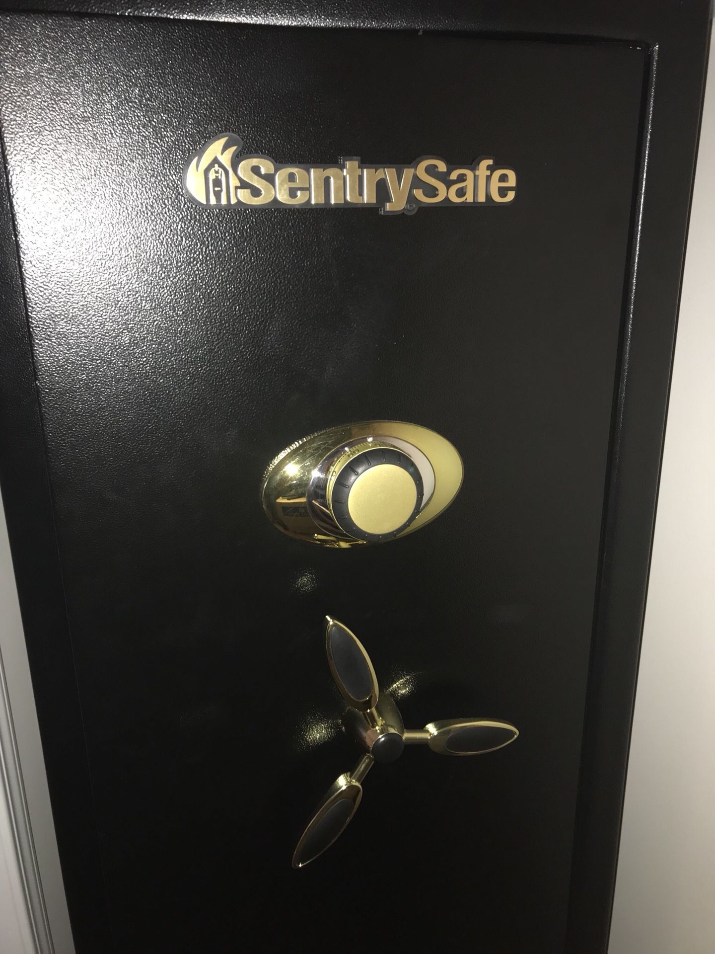 SentrySafe Executive Safe