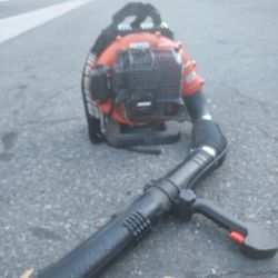 Echo Back Pack Bkower