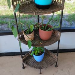 Plants & Plant Stands