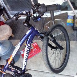Schwinn Bike