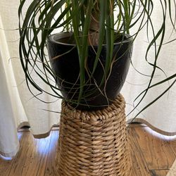 Wicker Plant Stand/Planter/Basket 