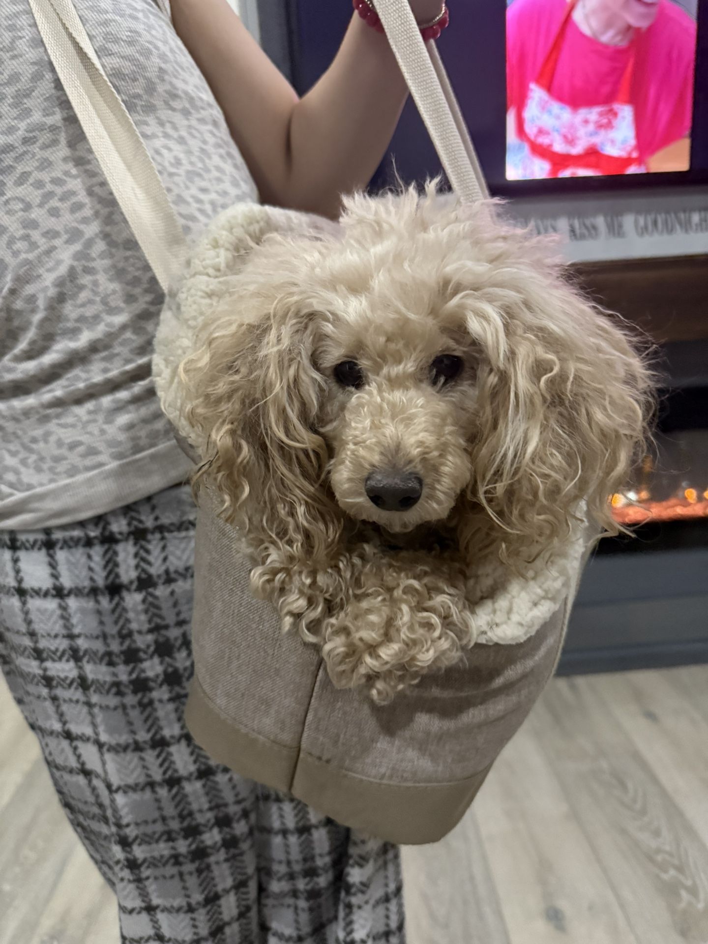 Pet Tote