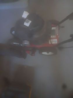 Troy Built Edger
