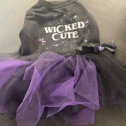 Puppy Halloween Outfit