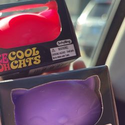 needoh cool cat