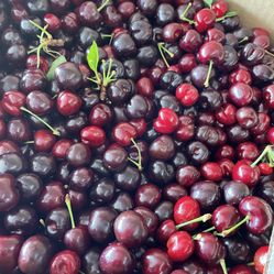 fresh cherries