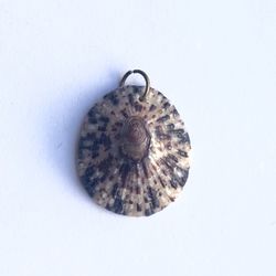 🐚 Pretty, brown  limpet shell pendant