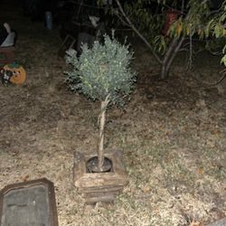 Fake Tree