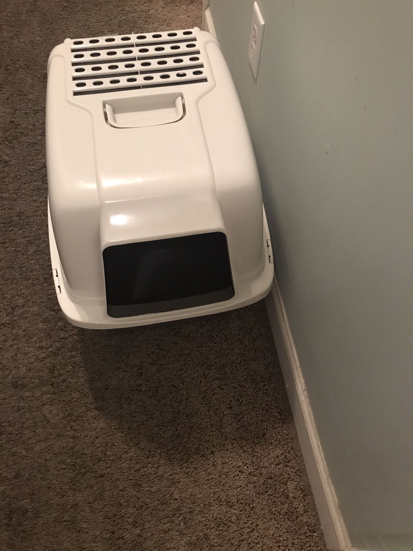 Cat Litter