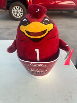 Arizona Cardinals fan merch