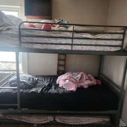 Twinl Bunk Beds