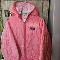 Patagonia Toddler Nano Puff Jacket 
Pink and light pink interior 
Size 3T