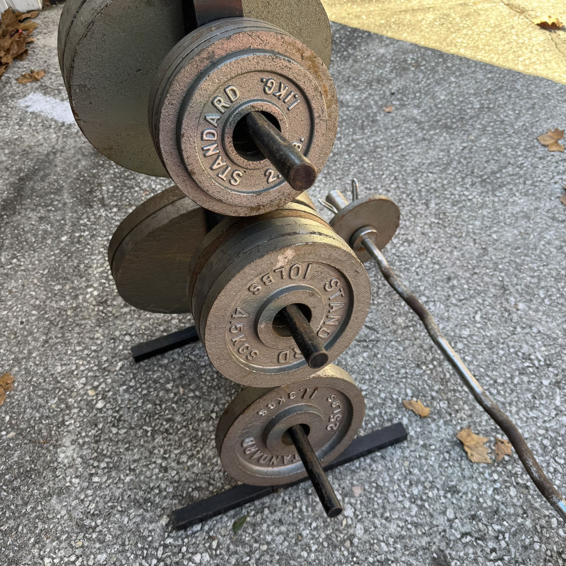 Weight plates (287.5 lbs), curl bar, and weight rack.