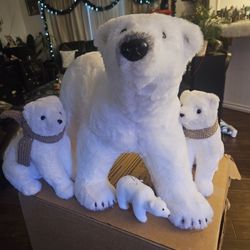 Beautiful Bear