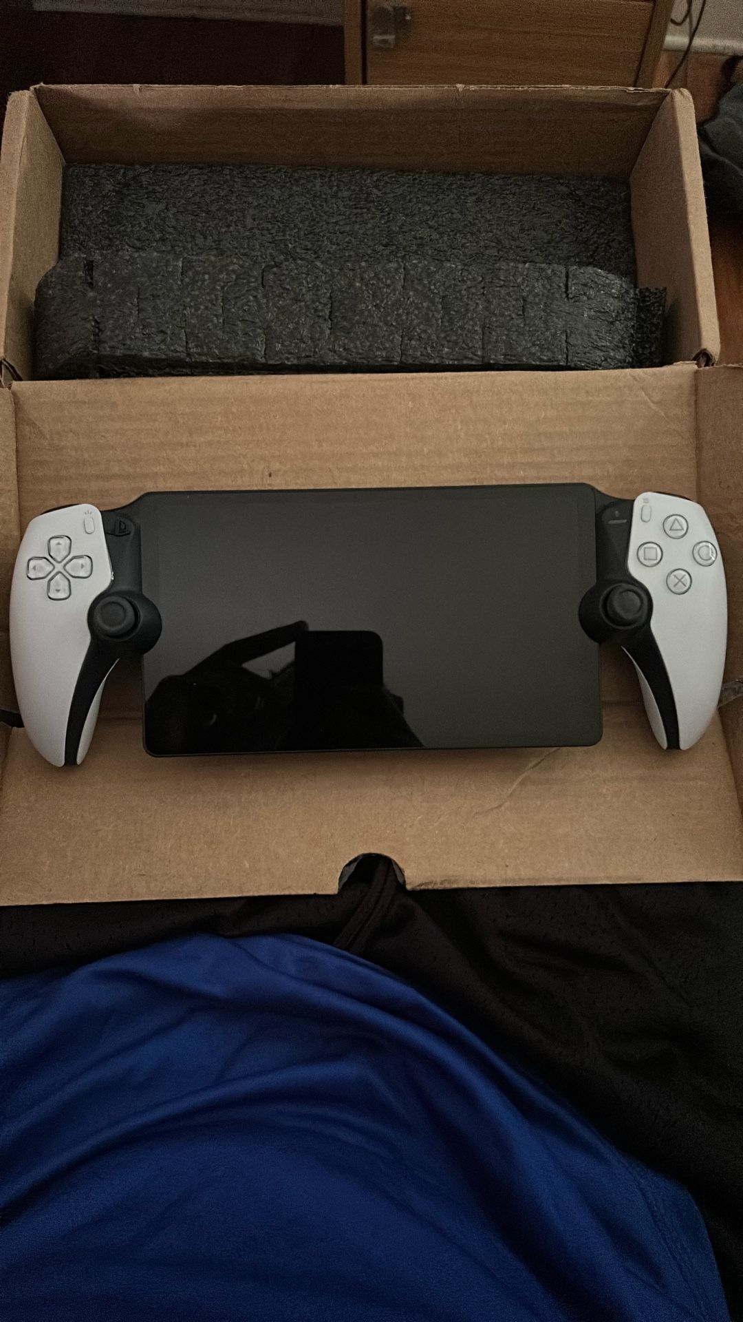 Playstation Portal