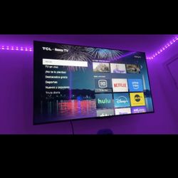 TV 50” With Tv Control