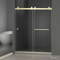 Tempered Glass Shower Door
