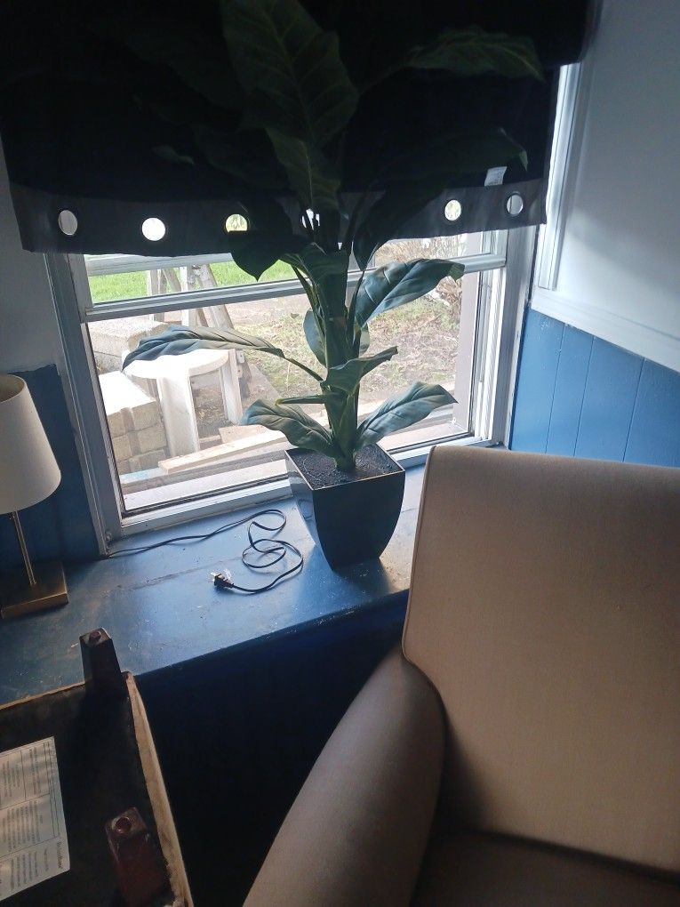 Fake Plant
