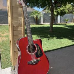 12 String Takamine