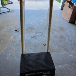 Louisville step ladder