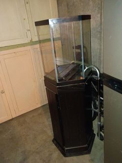 Fish aquarium with stand