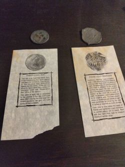 Pirate Coin Replicas Set of Two