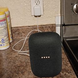 Google Nest Speaker