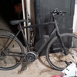 Trek Conduit E Bike