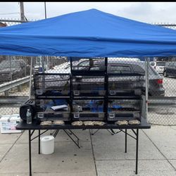 (contact info removed)