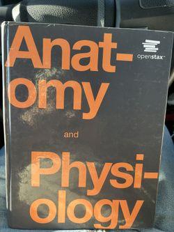 Anatomy And Physiology
