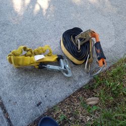 Tree Trimming Equipment 