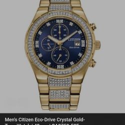 Citizen Eco-drive Watch 